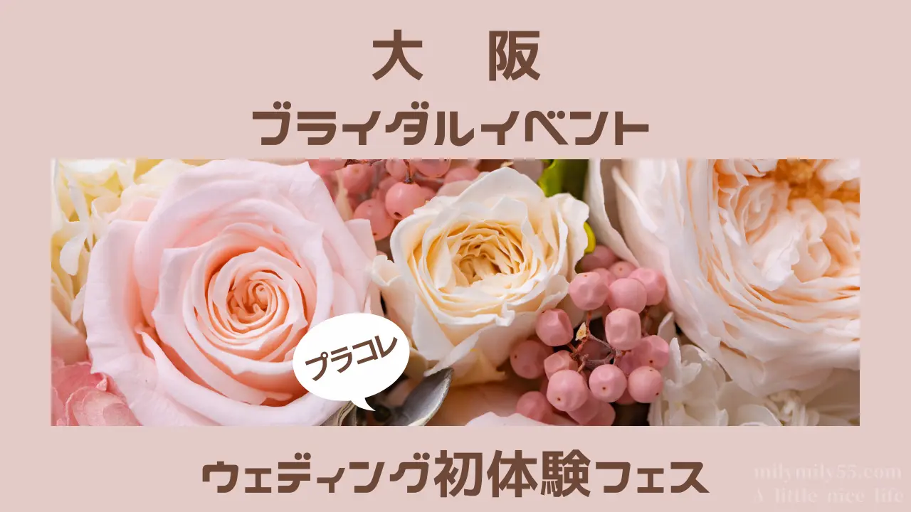 大阪ウェディング初体験フェスのイメージ