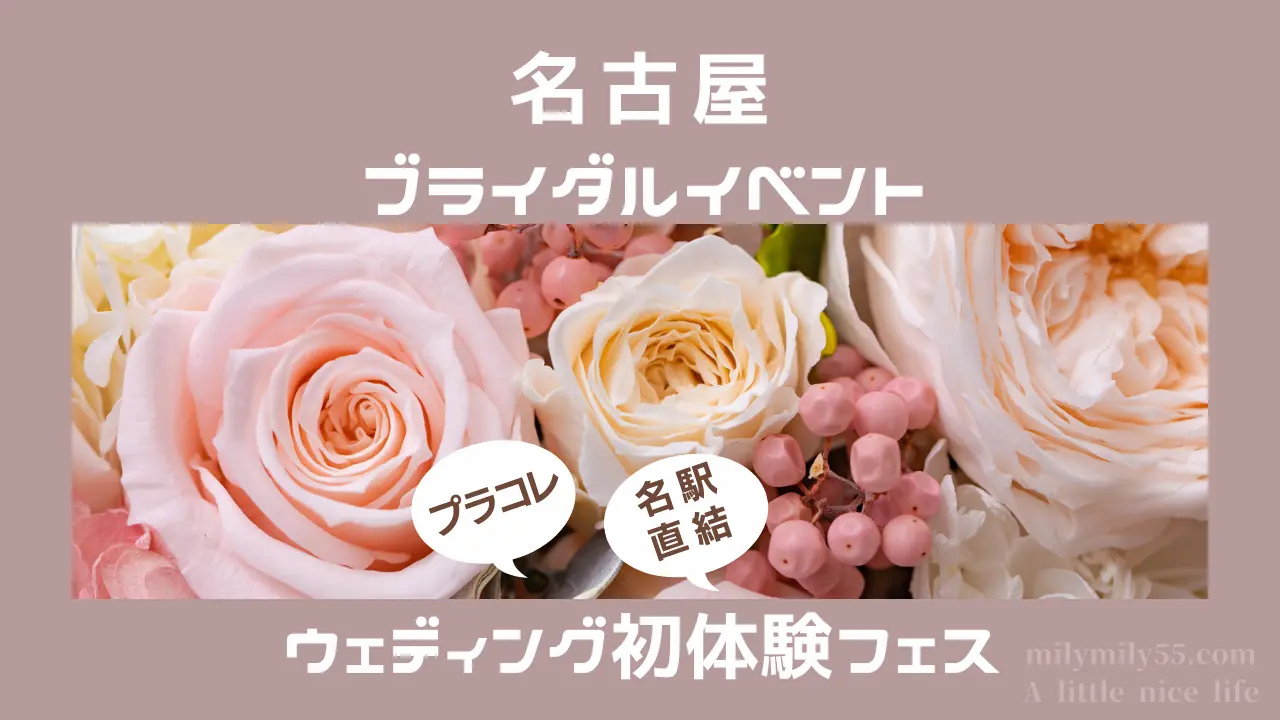 名古屋ウェディング初体験フェスのイメージ