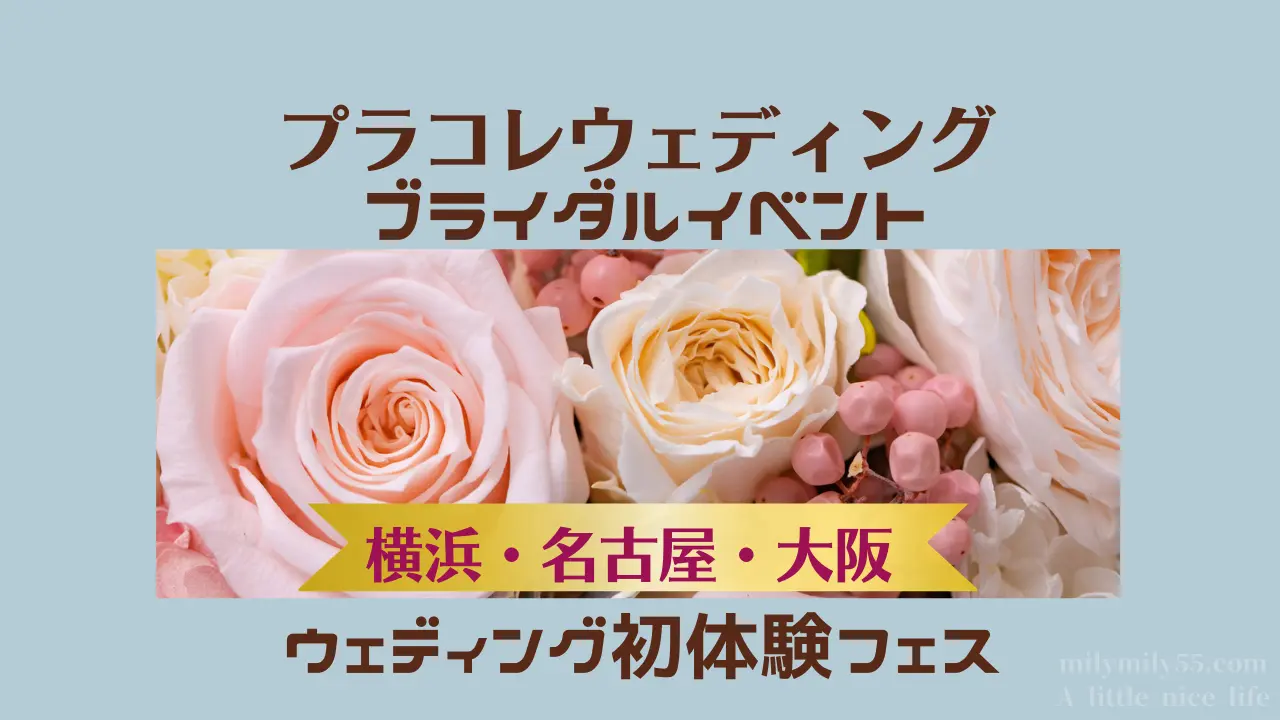ウェディング初体験フェス